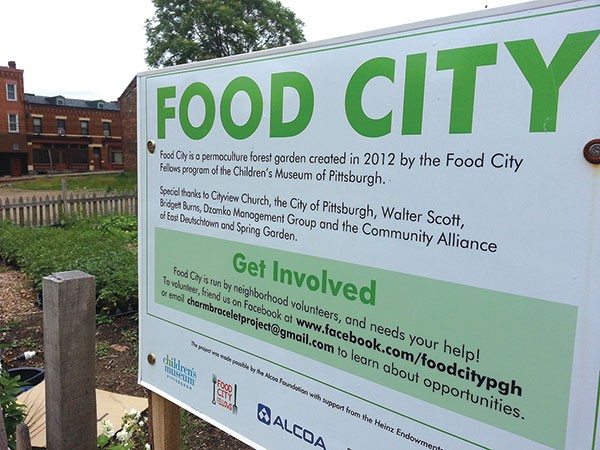 "Food City," a community garden on Tripoli Street on the North Side