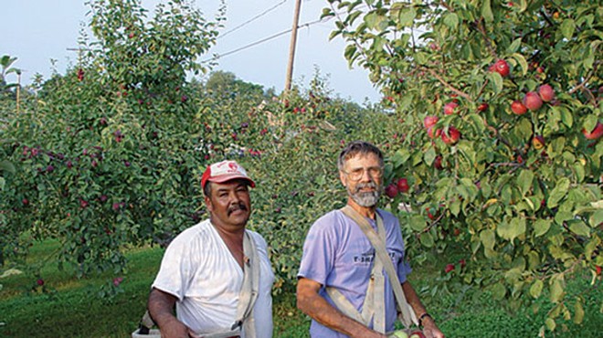 Local farms offer rare apple varieties