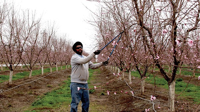 Photo of a peach farmer, by Hyla Willis, part of America's Least Livable City