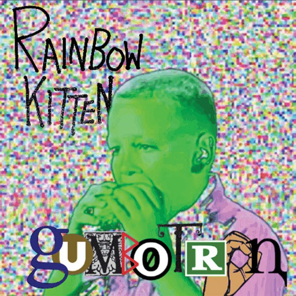 music-feature-rainbow-kitten.jpg