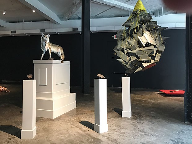Shaun Slifer’s “Shapeshifter, canis latrans” (foreground, left) and Jasen Bernthisel’s “This Is Revolting” (foreground, right)