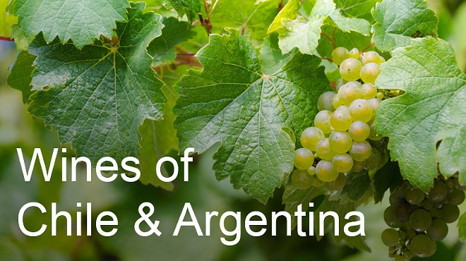 Wines of Chile & Argentina