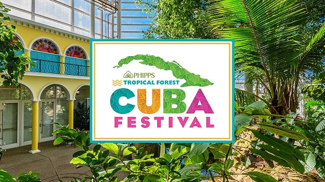 Tropical Forest Cuba Festival