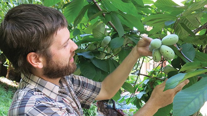 Local author Andy Moore writes the first book about the fruit called the pawpaw