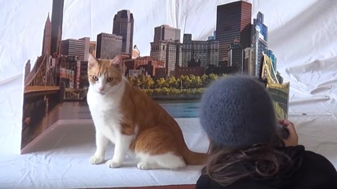 Behind-the-scenes video of City Paper's cat cover