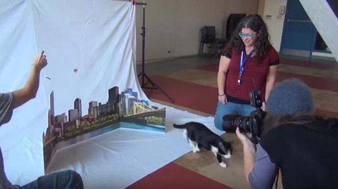 Behind-the-Scenes video of Pittsburgh City Paper’s Internet Cat Video Festival cover