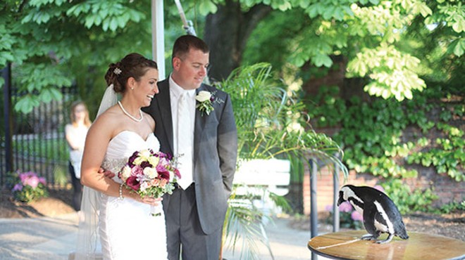 Nontraditional wedding venues in Pittsburgh