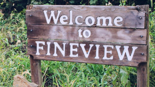 Picturing Fineview