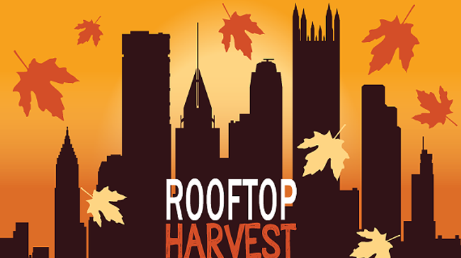 Rooftop Harvest