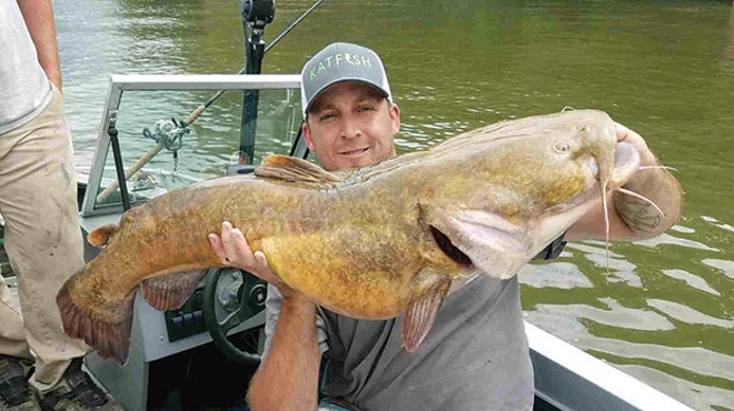 Flathead catfish are an impressive predator in Pittsburgh’s rivers