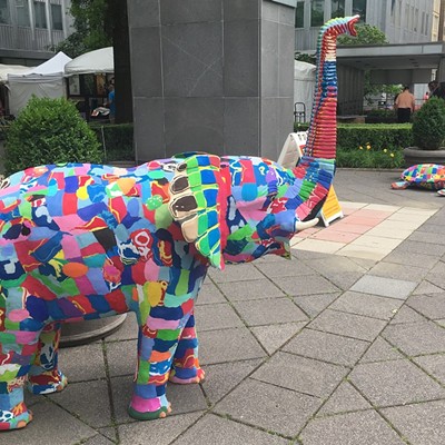 Ocean Sole Africa uses cute animals to make environmental statement at Three Rivers Arts Festival