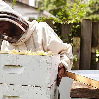 BEEBOY Honey is so local, it was likely harvested in the same neighborhood it was consumed