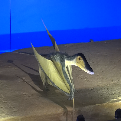 Pterosaurs come to Pittsburgh's Carnegie Museum of Natural History