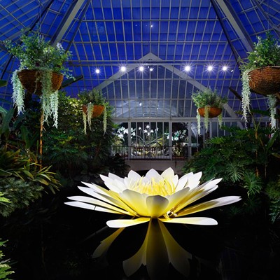 Phipps Conservatory lights up the night with extended hours for glass exhibit