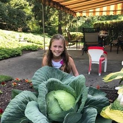 Mount Lebanon third-grader wins a national growing competition with a 14-pound cabbage