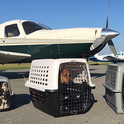 Local animal-rescue aviation company is getting a new plane courtesy of the Rachael Ray Foundation