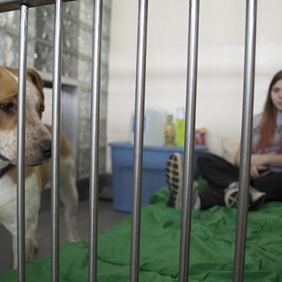 Humane Animal Rescue volunteers live like shelter animals this weekend