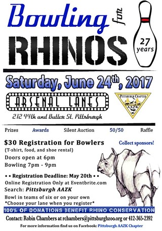 Bowling for Rhinos