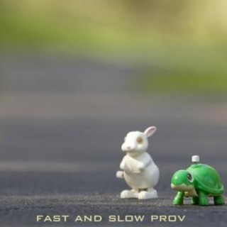 Fast & Slow Prov