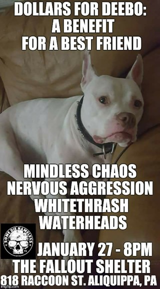 Nervous Aggression, Whitethrash, Mindless Chaos, WATERHEADS