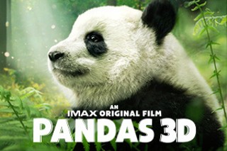 Pandas 3D