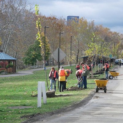 TreeVitalize kicks off spring planting season, calls for volunteers