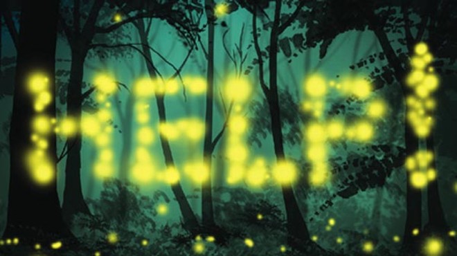 Warning Lights: Rare synchronous fireflies are discovered in Allegheny National Forest &#8212; a hotbed of logging and gas-drilling.