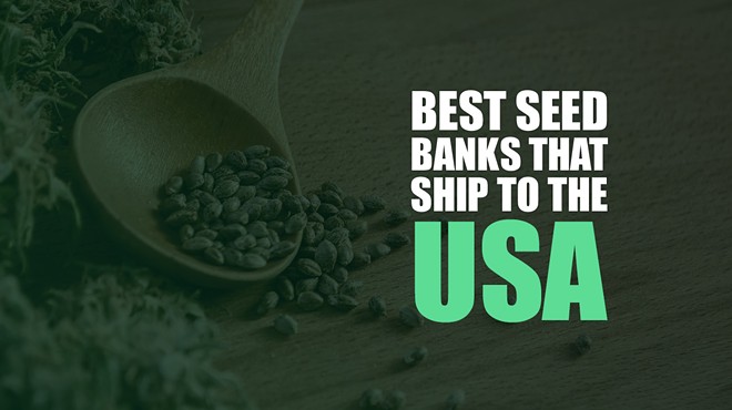 13 Best Seed Banks That Ship to the USA: Buy Quality Cannabis Seeds Legally in 2023 (6)