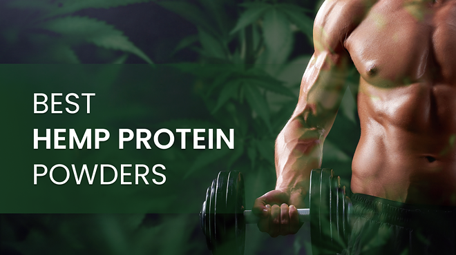 5 Best Hemp Protein Powders for Optimal Nutrition