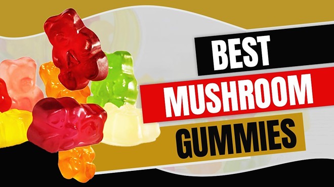 Best Mushroom Gummies: Top 7 Mushroom Gummies for Energy, Focus & Mood in 2024