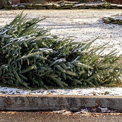 Allegheny County recycling program will accept live Christmas trees beginning Dec. 26