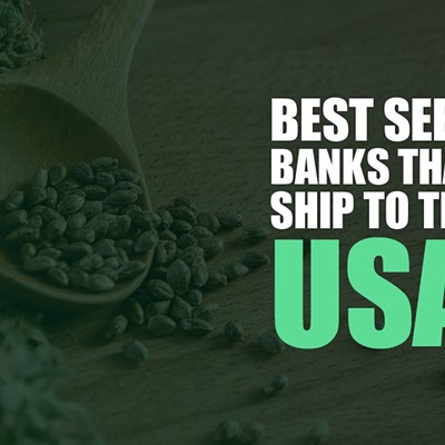 Best Marijuana Seed Banks That Ship to the USA: High-Quality, Legal Cannabis Seeds in 2024 (6)