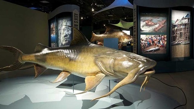 Carnegie Museum of Natural History brings Monster Fish to Pittsburgh