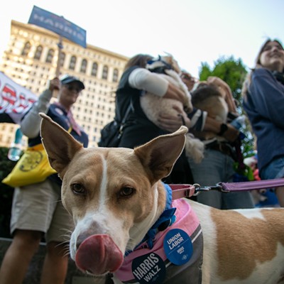 Dogs for Democracy