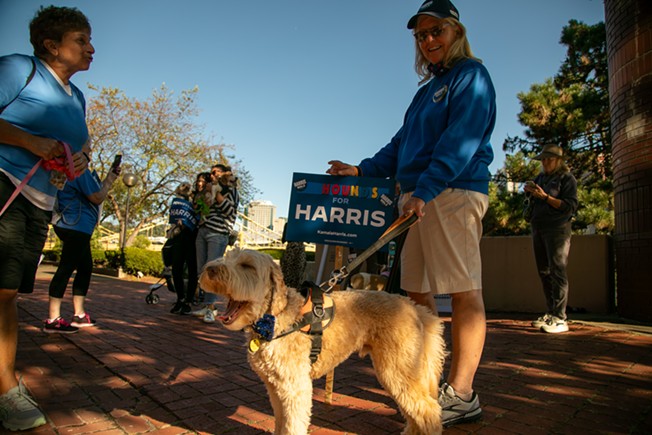 Dogs for Democracy