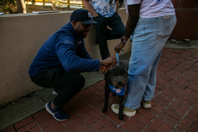 Dogs for Democracy