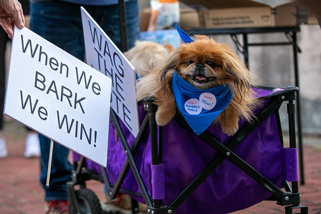 Dogs for Democracy