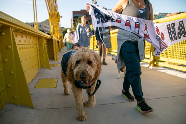 Dogs for Democracy