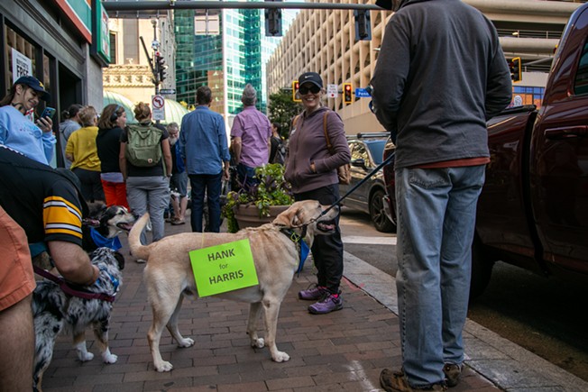 Dogs for Democracy