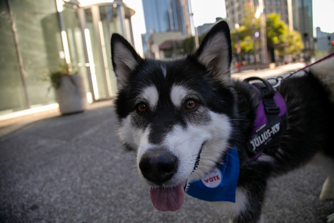 Dogs for Democracy