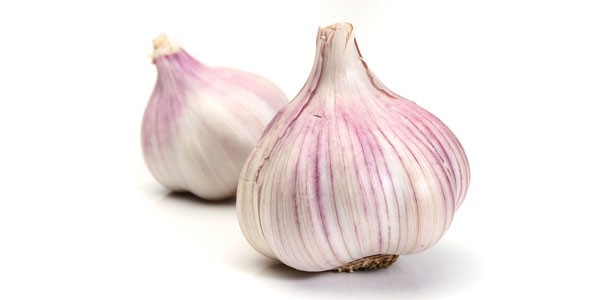 Enon Valley Garlic