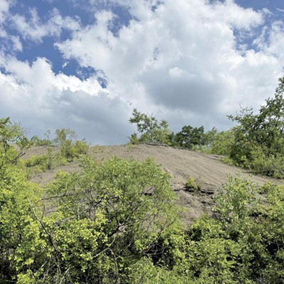 Experts see plenty of room for solar energy in slag heaps and homes