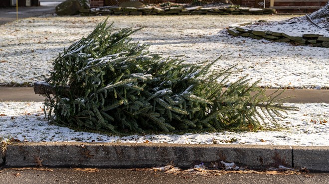 Where to recycle your Christmas tree in Pittsburgh