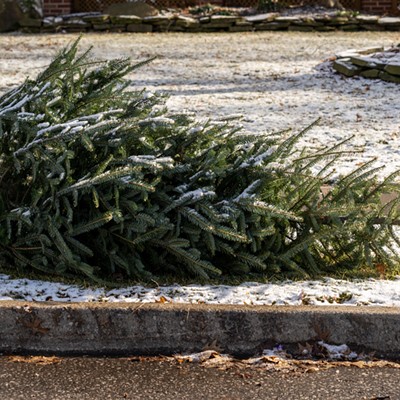 Where to recycle your Christmas tree in Pittsburgh