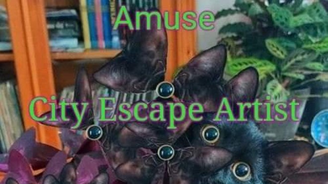 Invasion Tour 2022 - Amuse / City Escape Artist / UNDERSTATEMENT / Crash Army