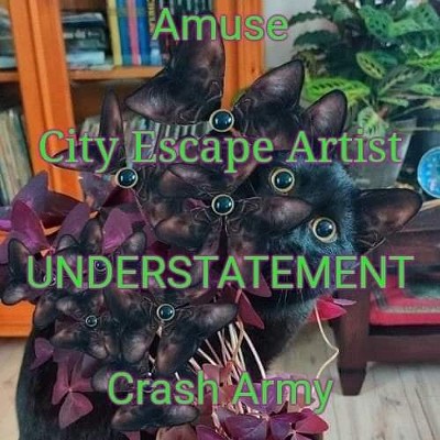 Invasion Tour 2022 - Amuse / City Escape Artist / UNDERSTATEMENT / Crash Army