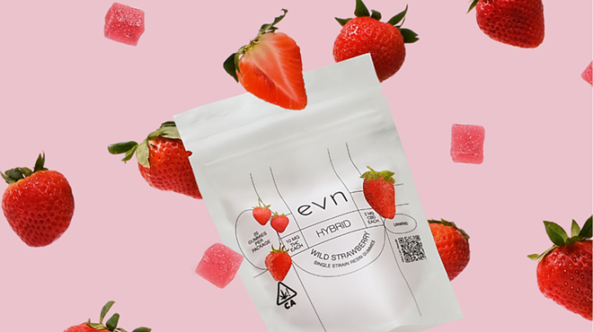 Photo of evn gumy bag suspended over a pale pink background, surrounded by strawberries and pink gummies. Label reads "evn hybrid wild strawberries single strain resin gummies. 20 gummies per package, 10 mg THC each, 2 mg CBD each, unwind"