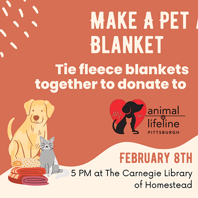 Make a Pet a Blanket for Animal Lifeline