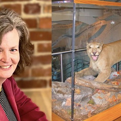 MORIARTY SCIENCE SEMINAR: NITTANY LIONS, PERUVIAN CHINCHILLAS, AND MAMMALIAN COGNITION: 25+ YEARS OF COLLABORATION BETWEEN PENN STATE AND THE CARNEGIE MUSEUM OF NATURAL HISTORY