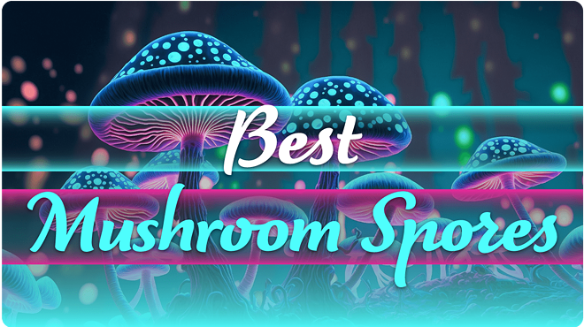 Mushroom Spores to Buy Online: Top 5 Mushroom Vendors (2)